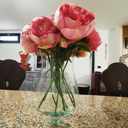 Domu Bella Lejlighed *